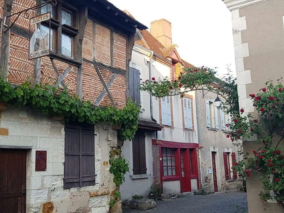 Willa Le Meuble Monestois Mennetou-sur-Cher Zewnętrze zdjęcie